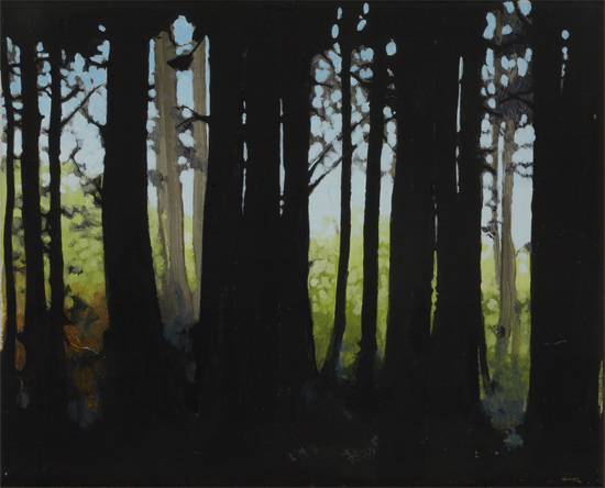 Picture of Small Dark Woods