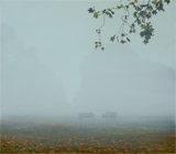thumbnail of benches in queens park
