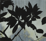 thumbnail of the silhouette of a branch against a window at Kew