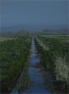 thumbnail of a drain on the somerset levels